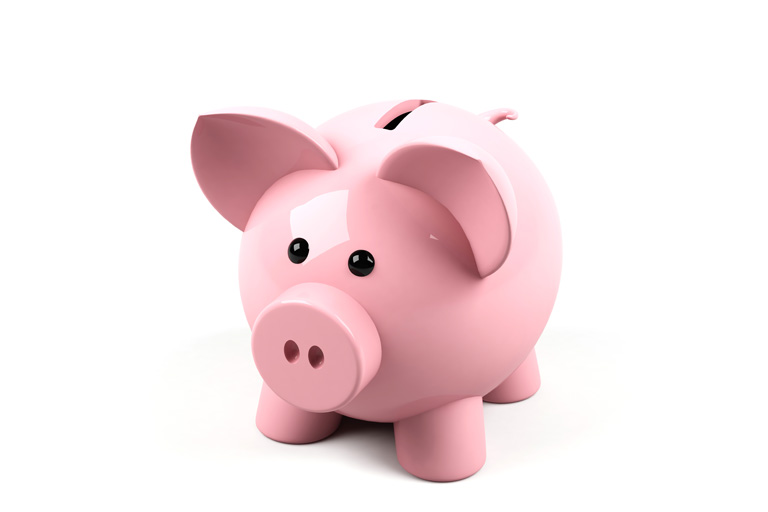image of a piggy bank