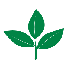 Plant Leaves Icon